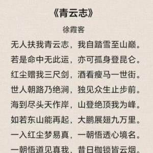 青云志